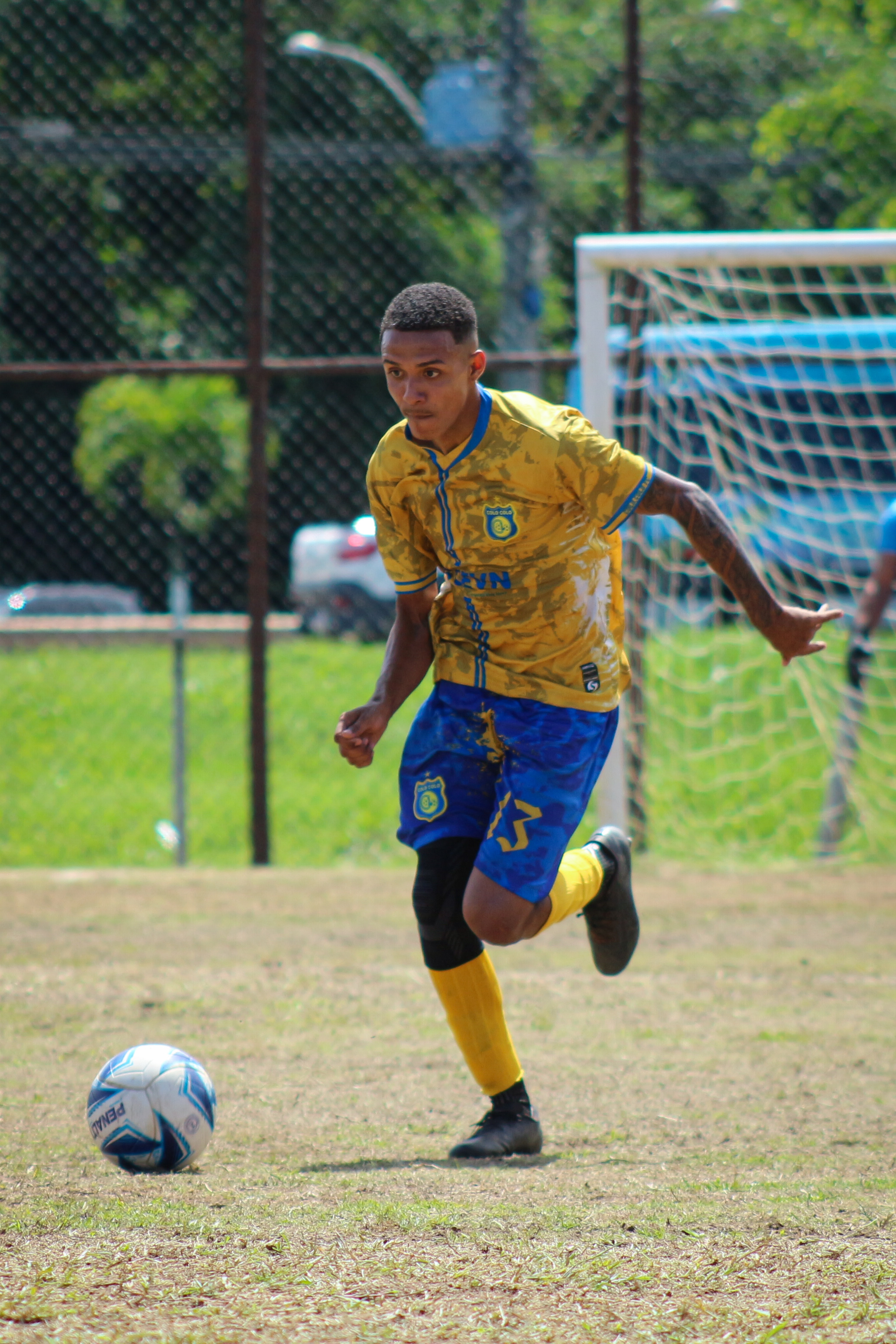 Futebol Profissional